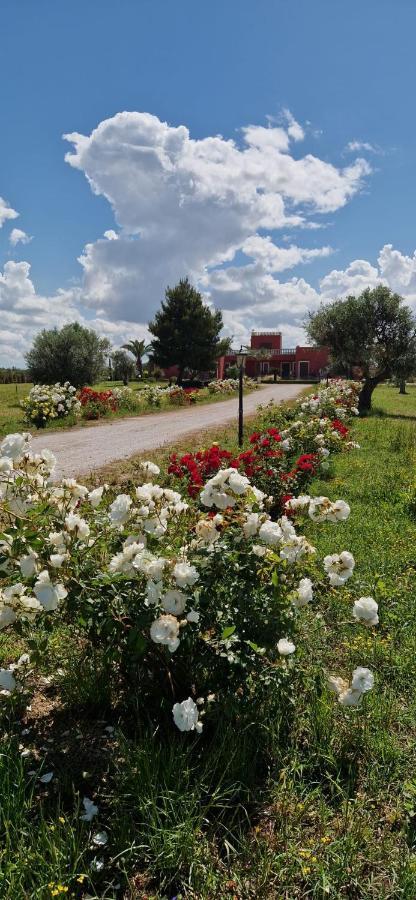 Bed & Breakfast Villa Michela Alezio Kültér fotó